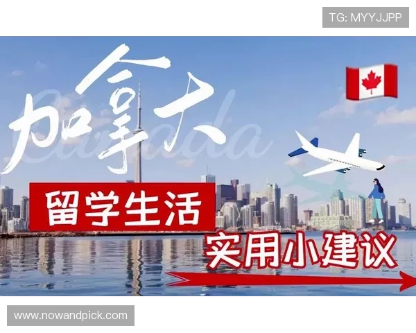 足彩外围买了三年如何规避风险提升盈利能力的实用建议