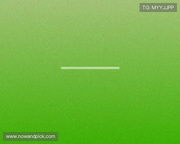 体育导航网提供最权威的世界杯赛程安排、比分直播和球队分析,满足足球迷的全部需求 体育导航网提供最权威的世界杯赛程安排、比分直播和球队分析,满足足球迷的全部需求